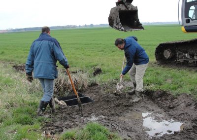 Landschaftspflegeverband Landkreis Augsburg e.V. Amphibienprojekt