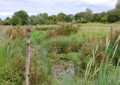 Landschaftspflegeverband Landkreis Augsburg e.V. Biotop am Brunnenwasser