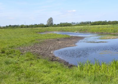 Landschaftspflegeverband Landkreis Augsburg e.V. Flachmulden-Biotop