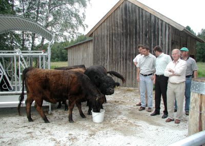 Landschaftspflegeverband Landkreis Augsburg e.V. Weideprojektstart 2002