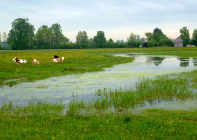 Landschaftspflegeverband Landkreis Augsburg e.V. Biotoperweiterungen 2004