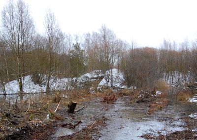 Landschaftspflegeverband Landkreis Augsburg e.V. Entbuschung der Großseggen