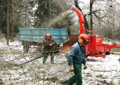 Landschaftspflegeverband Landkreis Augsburg e.V. Wertachauen Entbuschung