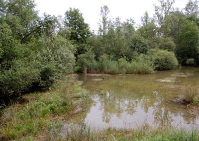 Landschaftspflegeverband Landkreis Augsburg e.V. Flachwasser