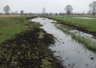 Landschaftspflegeverband Landkreis Augsburg e.V. Frühjahr 2002