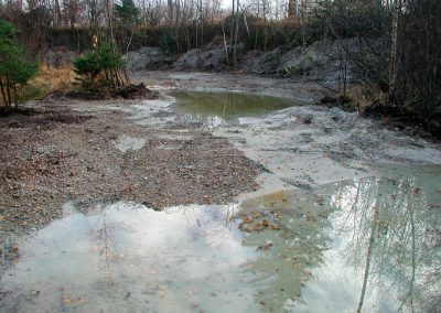 Landschaftspflegeverband Landkreis Augsburg e.V. Wechselwasserzonen