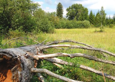Landschaftspflegeverband Landkreis Augsburg e.V.Totolz Lechheide