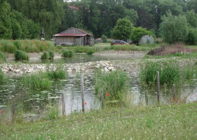 Landschaftspflegeverband Landkreis Augsburg e.V. Schilfklärbecken