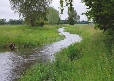 Landschaftspflegeverband Landkreis Augsburg e.V. Schwarzbach 2016