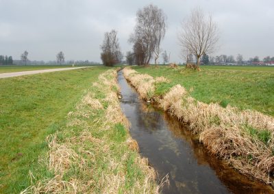 Landschaftspflegeverband Landkreis Augsburg e.V. Schwarzbach vorher