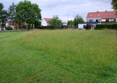 Landschaftspflegeverband Landkreis Augsburg e.V. Blühfläche Untermeitingen