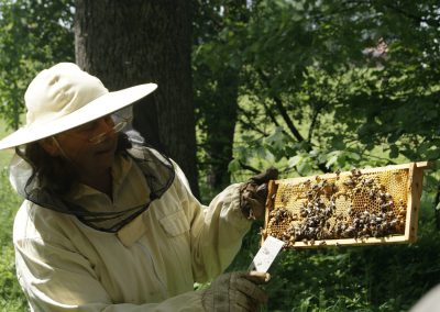 LPV-Veranstaltung Wunderwelt der Bienen, Mai 2019