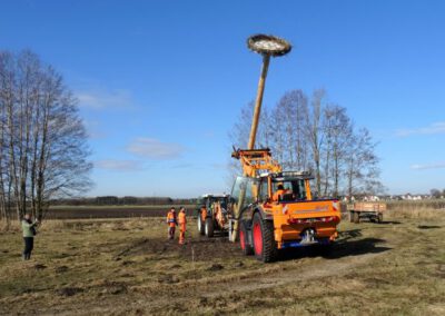 Storchenmast für Thierhaupten, Februar 2022